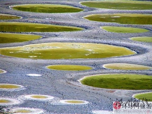 绝美奇观：加拿大神秘斑点湖(组图)