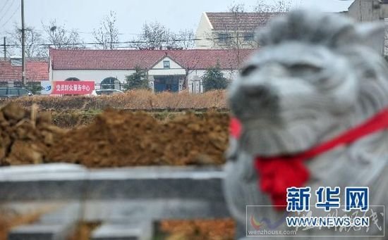 中国网事:网曝武汉豪华“活人墓”已被拆除[图]