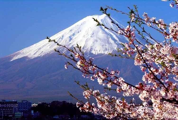 富士山