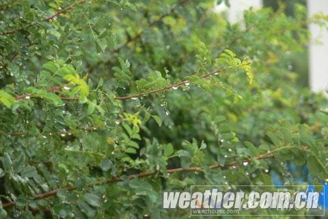 宁夏降喜雨解高温 今明雨水持续需防范地质灾害