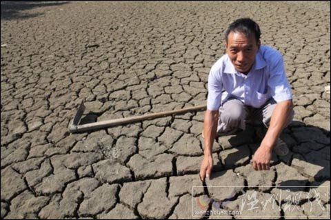 重庆突破42℃高温  未来两天高温持续