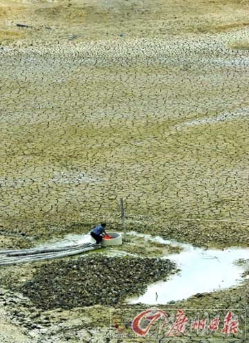 南方高温少雨旱象露头 洞庭湖、鄱阳湖“瘦身”