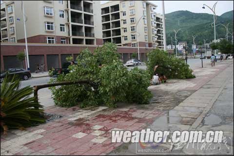 贵州铜仁2日下午遭雷雨大风 致2人死亡