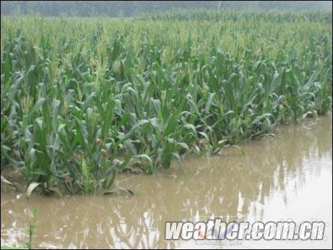 河北入汛最强降雨结束 今夜新轮雨水再来