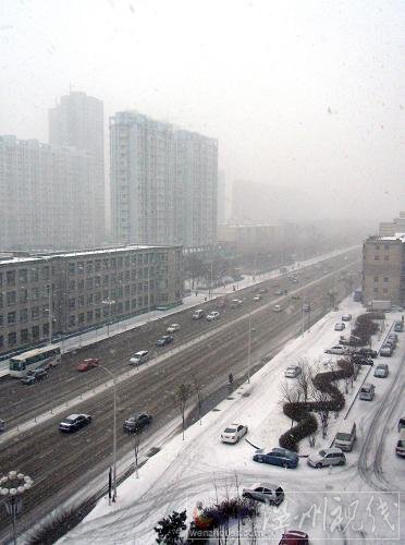 沈阳今日降雪图片