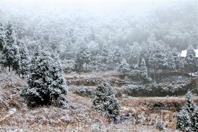 2011年的第一场雪