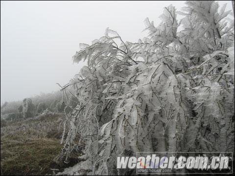 贵州威宁今冬出现12个冻雨日 超常年同期值