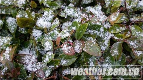 张家界景区迎来下半年首场降雪 天门山气温降至-7℃