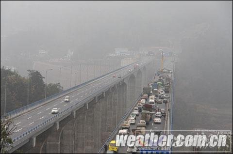 贵州现入冬范围最大冻雨 树叶电线结冰（组图）