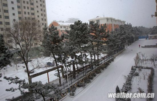 威海降雪