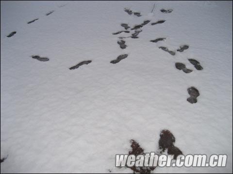 气象开放日到来之际 春雨春雪齐聚京城 