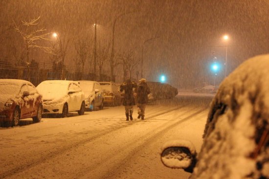 北京三月飞雪