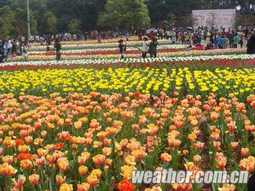 湖南冷空气捣乱清明节 明后天全省有降雨