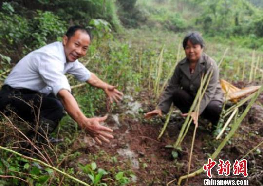 四川降下20斤重巨型冰雹