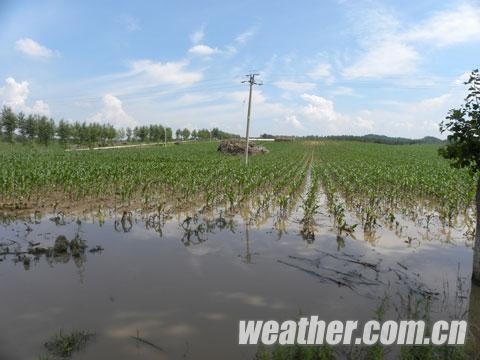 长春20日出现局地暴雨和冰雹等强对流天气