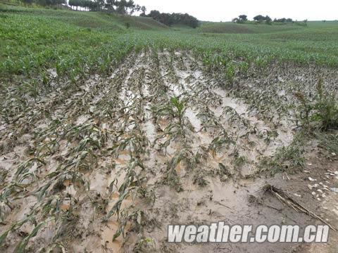 长春20日出现局地暴雨和冰雹等强对流天气