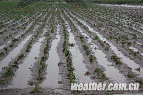 辽源28日出现短时强降雨 市区低洼路面积水（图）