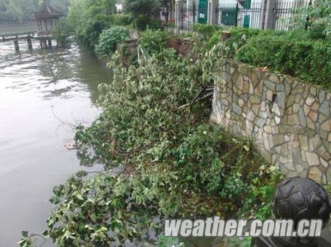 强降雨导致杭州河堤坍塌