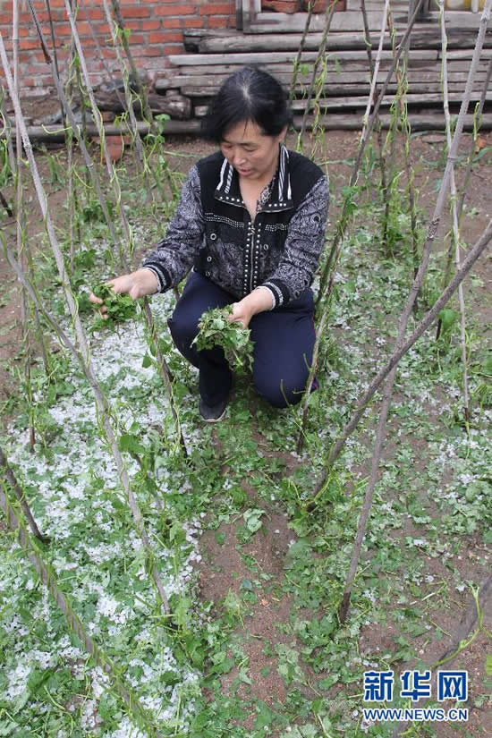 葫芦岛下冰雹