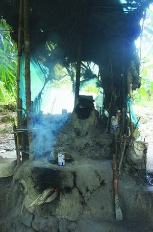 福建南靖“野人”独居树上12年 4块木板做床铺