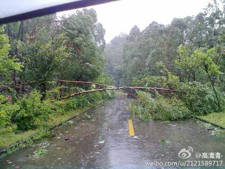 微博直击台风“韦森特”（滚动）