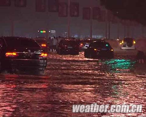 河北多地遭遇强降雨 石家庄街道可养鱼