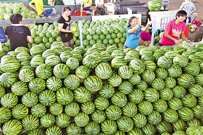 温州水果市场