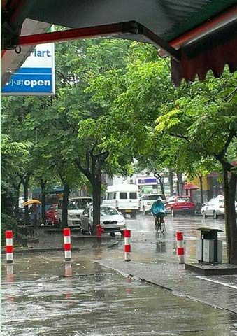 近日上海高温天持续 午后多强降雨