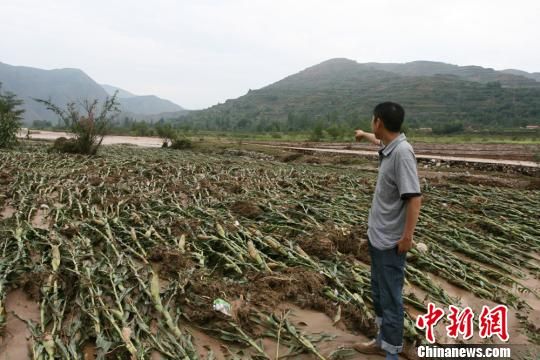 甘肃礼县遭遇特大暴雨致近20万人受灾1人失踪