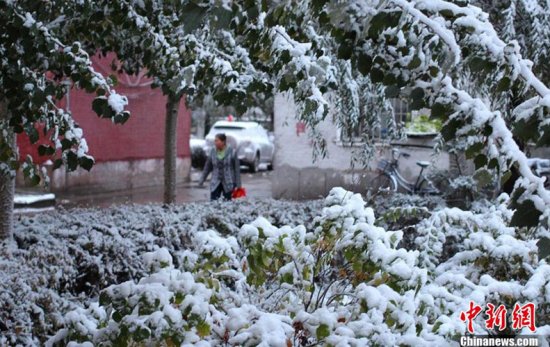 齐齐哈尔下雪了