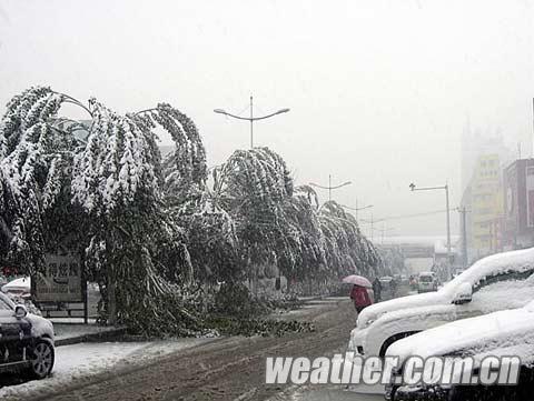 吉林迎入冬首场大范围降雪 长春交通受阻