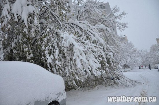 北京大雪 11月4日北京多地下大雪延庆佛爷顶降雪量最大51毫米