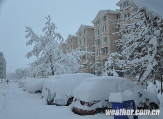 北京大雪 11月4日北京多地下大雪延庆佛爷顶降雪量最大51毫米