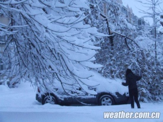 北京大雪 11月4日北京多地下大雪延庆佛爷顶降雪量最大51毫米