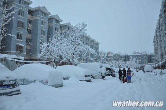 北京大雪 11月4日北京多地下大雪延庆佛爷顶降雪量最大51毫米