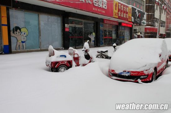 北京大雪 11月4日北京多地下大雪延庆佛爷顶降雪量最大51毫米