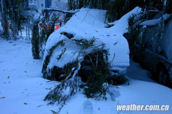 北京大雪 11月4日北京多地下大雪延庆佛爷顶降雪量最大51毫米