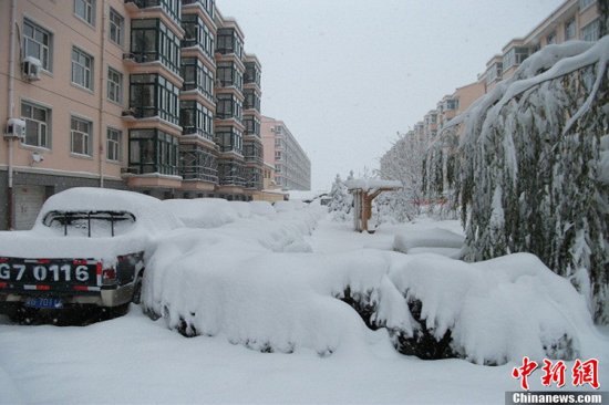 张家口蔚县暴雪