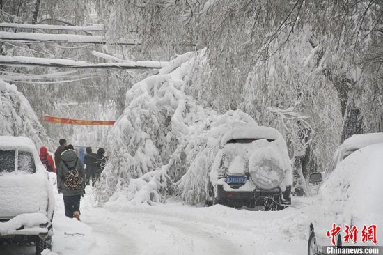 黑龙江鹤岗暴雪