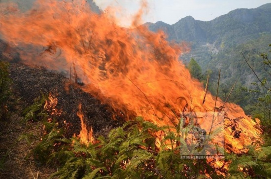 温岭山火