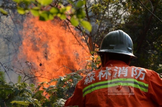 温岭山火