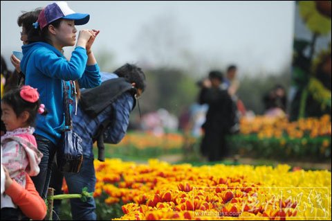 合肥13日气温近30℃ 周末是赏花的好天气