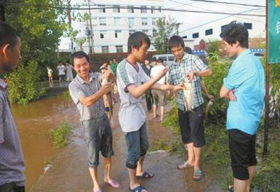 四川达州暴雨致万斤鱼儿游上公路 市民停车捡鱼