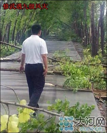 河南遇暴雨冰雹38万人受灾1人死亡 冰雹个头最大如鸡蛋