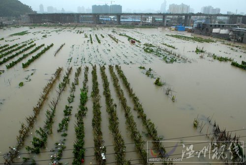 西市安定区暴雨灾情