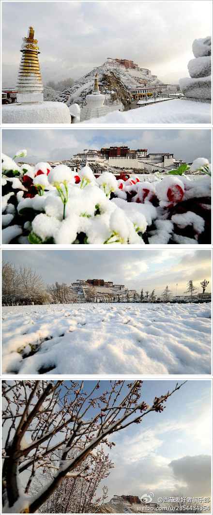 2013年拉萨第一场雪 布达拉宫雪景