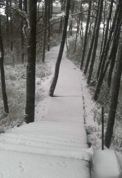 浙江下雪了，2013年冬季浙江湖州安吉第一场雪