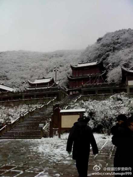 重庆三月飞雪照片 重庆下起了春雪