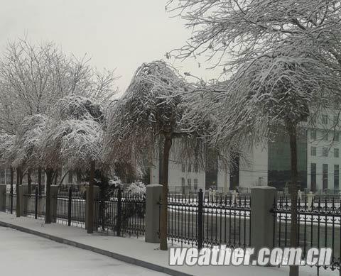 沈阳大雪