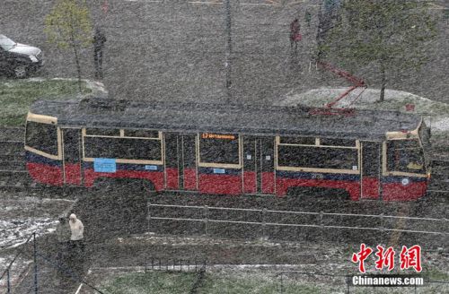 莫斯科五月飞雪